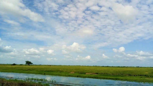 Gökyüzü güzel: Apure, Venezuela