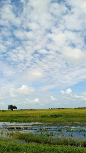 Gökyüzü güzel: Apure, Venezuela