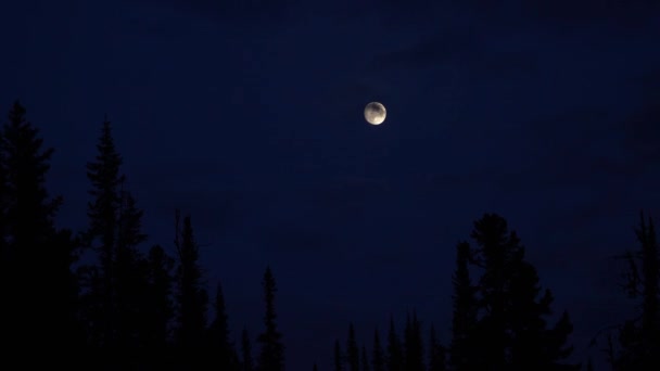 夜晚月亮在云彩后面飞逝 — 图库视频影像