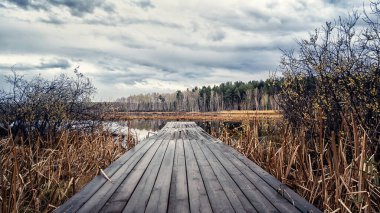 the bridge stretching into the lake among the reeds withered
