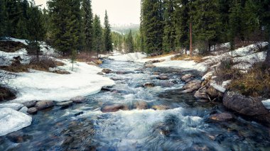 Blurred brook in the snow taiga nature Park Ergaki