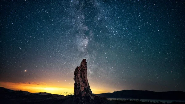 Night sky stars in the foreground stump