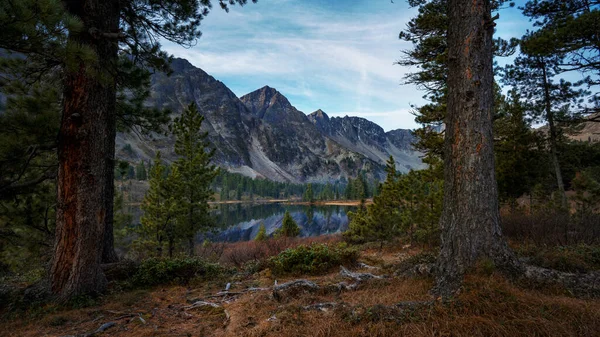 View from the forest to the lake in the mountains — Stok fotoğraf