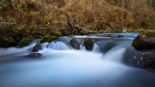 Floresta Creek no rio — Fotografia de Stock