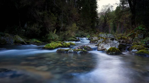 Gebirgsbach im Wald mit grünem Moos auf den Felsen — Stockfoto