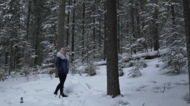 Labrador köpeği olan bir kız kış karında ormanda yürür.