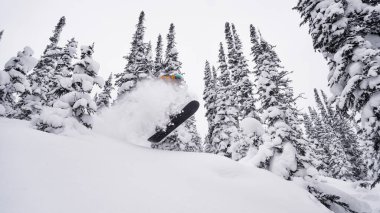 Ormandaki snowboardcu kışın kar tozu üflüyor.