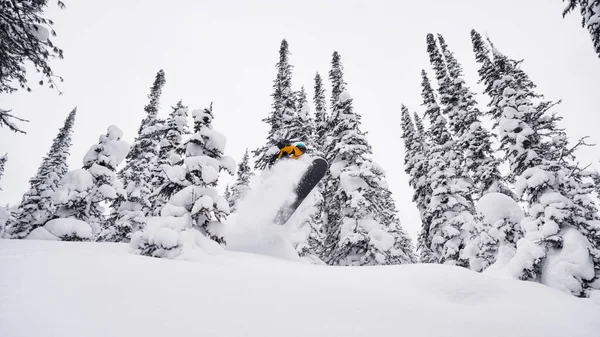 La explosión de nieve en polvo snowboard en el invierno — Foto de Stock