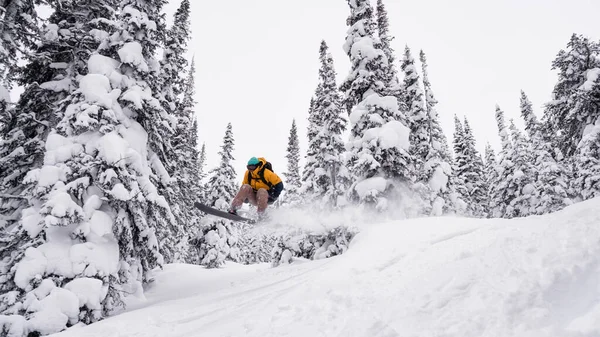Un snowboarder vuela, saltando en el trampolín invierno nieve tren — Foto de Stock