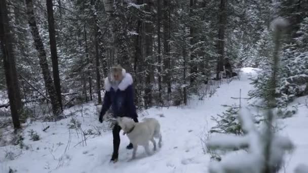 Menina com cão Labrador caminha na floresta na neve de inverno — Vídeo de Stock