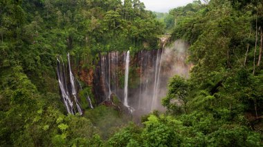 Waterfall Tampak Planting on top of Indonesia