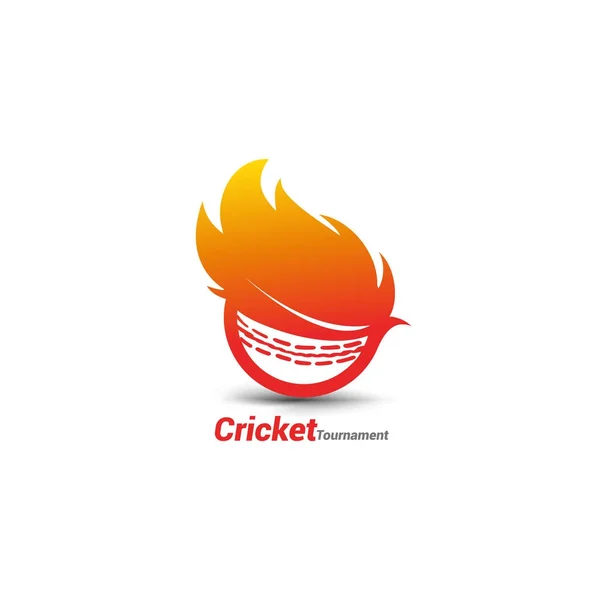 Hořící Kriket Míč Vektor Pro Kriket Rytířský Mistrovství Kriketu — Stockový vektor