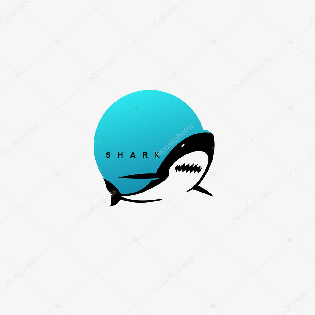 Minimal shark logo design on white background with typography vector illustration design.