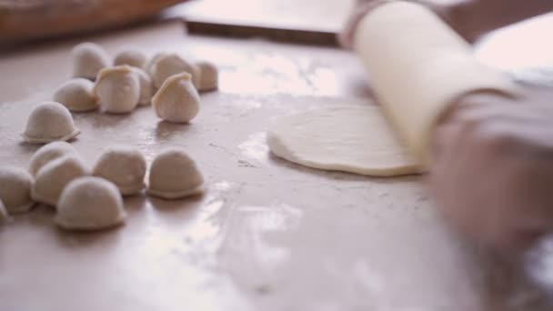 Rolling the tough for dumplings. La ama de casa enrolla la masa con un rodillo . — Vídeos de Stock