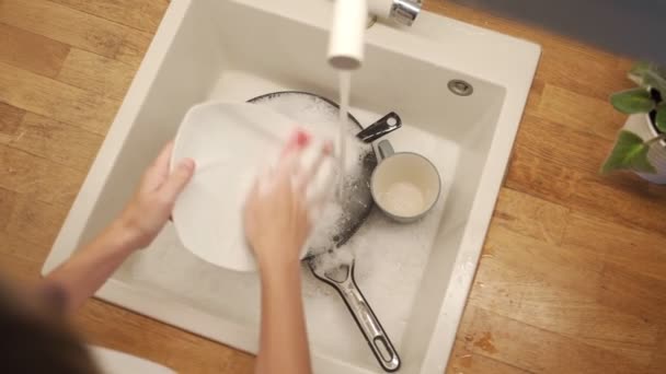 Femme laver la vaisselle dans la cuisine moderne . — Video