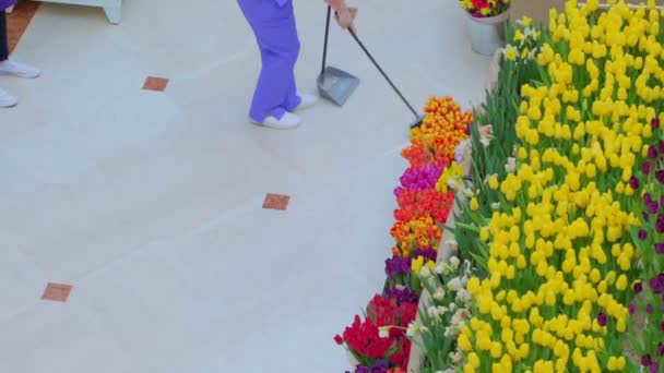 Un addetto alle pulizie spazza il pavimento in un centro commerciale. Servizio di pulizia — Video Stock