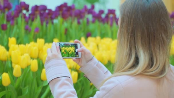Donna che scatta foto sui fiori nel mercato dei fiori — Video Stock