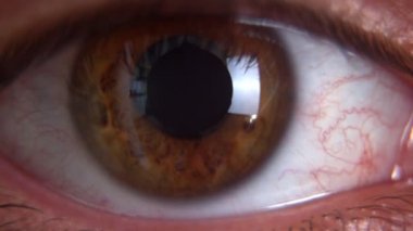 Kahverengi erkek gözünün açılıp kameraya bakarken makro görüntüyü kapat.