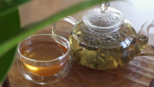 Le thé vert est infusé dans une théière en verre. Temps écoulé 