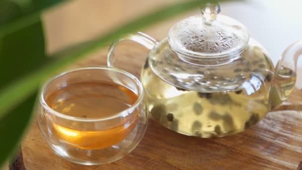 Zielona herbata parzona jest w szklanym czajniku. — Wideo stockowe