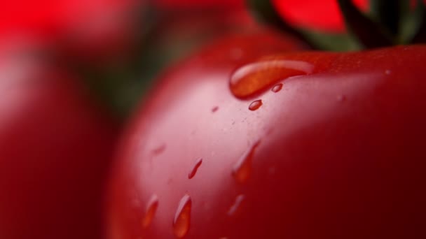 Grânulo de água rolando para fora do lado do tomate molhado — Vídeo de Stock