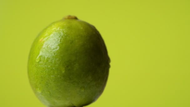 Świeże zielone limonki obracające się w studio — Wideo stockowe