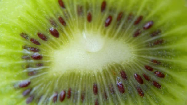 Close-up of a drop of water or juice dripping from a slice of ripe kiwi. fruit gives off freshness and juice. fruit for diet and healthy food concept — Stock Video
