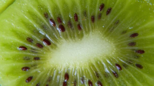 Makro rotation video fotografering av skiva kiwi frukt .Närbild kött av kiwi. — Stockvideo