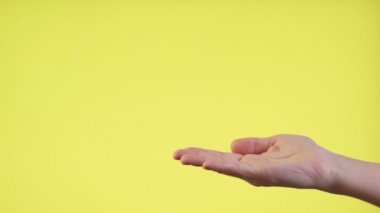 Stüdyodaki sarı arkaplandan izole edilmiş avuç içlerindeki el kameraları..