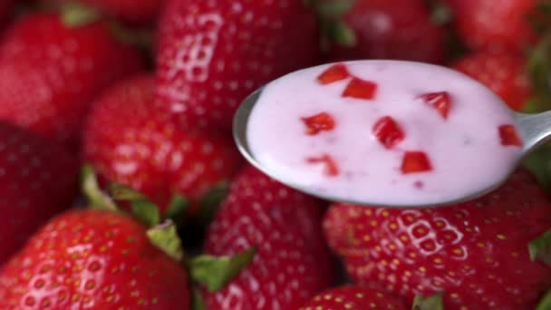 Jogurt truskawkowy w łyżce, na tle świeżych truskawek — Wideo stockowe