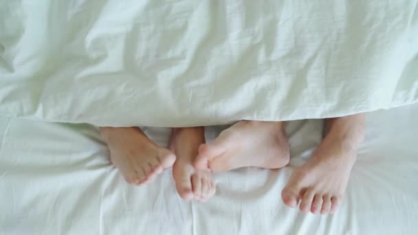 Couple in bed making love. male and female legs top view. White linens — Stock Video