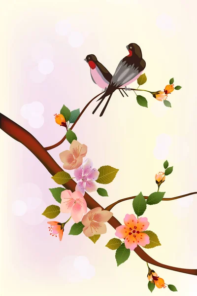 Sakura.Noite no jardim florescendo cereja e pássaros cantam — Vetor de Stock