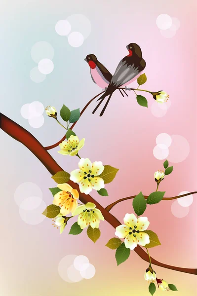 Sakura. Soirée dans le jardin fleurissant cerise et oiseaux chantent — Image vectorielle