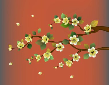  Sakura. Bahar çiçekleri sakura çiçeği