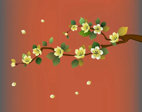 Sakura. Lente bloemen sakura bloesem — Stockvector