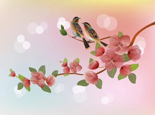Sakura.Evening en el jardín floreciendo cerezo y pájaros cantan — Vector de stock