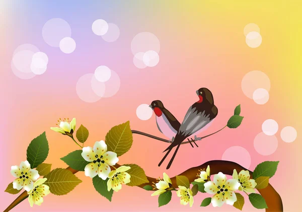 Sakura.Evening en el jardín floreciendo cerezo y pájaros cantan — Archivo Imágenes Vectoriales