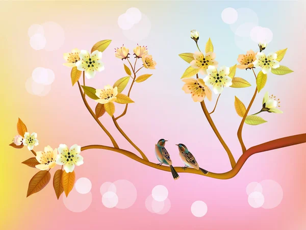 Sakura.Evening Bahçe çiçek açan kiraz ve kuşlar şarkı — Stok Vektör