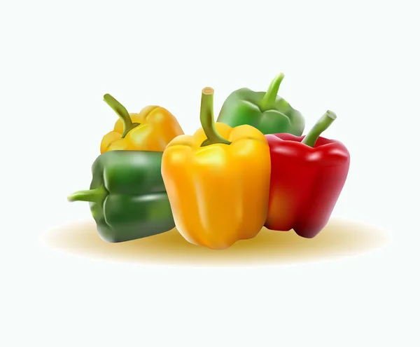 Vector illustration sweet pepper — Stock Vector