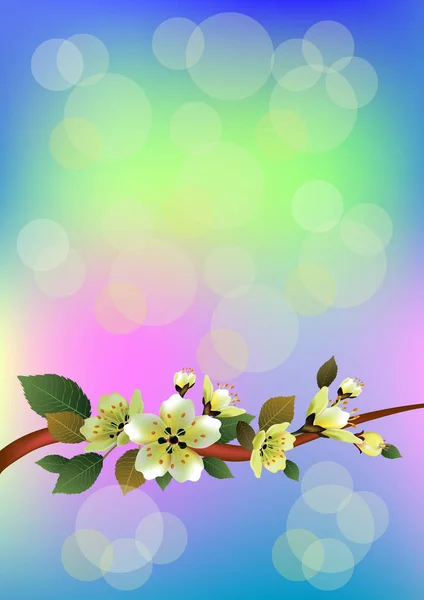 Printemps, bouquet de fleurs  . — Image vectorielle