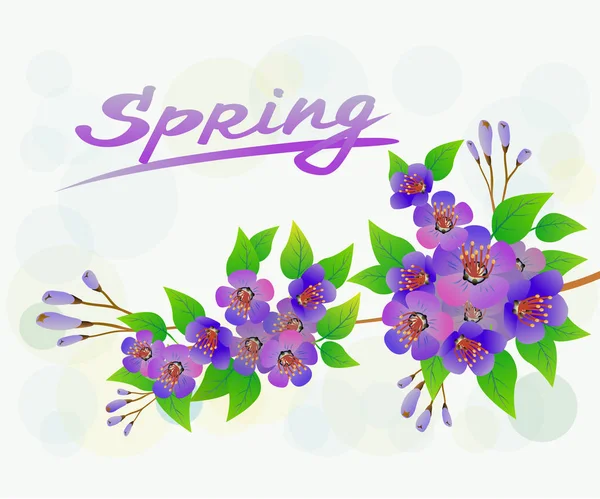 Primavera, bouquet di fiori  . — Vettoriale Stock
