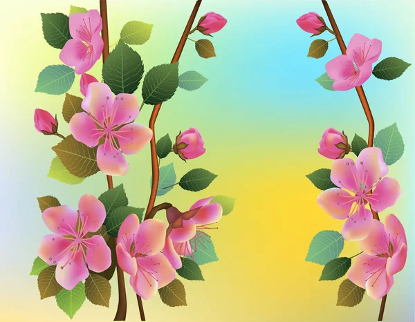 Přírodní pozadí s blossom pobočkou květy růžové sakura. — Stockový vektor