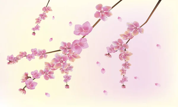 Printemps Tout Réveille Les Fleurs Sakura Fleurissent — Image vectorielle