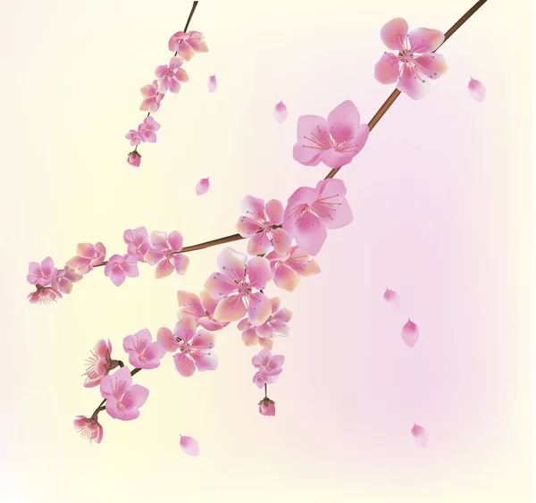 すべての目を覚ます 桜の花します はがき — ストックベクタ