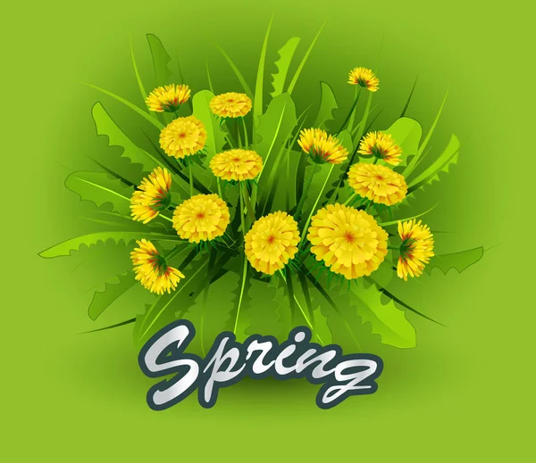 Vektor Illustration Frühling Auf Hintergrund Mit Frühlingsblumen Löwenzahn — Stockvektor