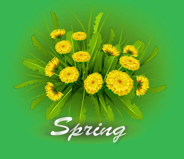 Vektor Illustration Frühling Auf Hintergrund Mit Frühlingsblumen Löwenzahn — Stockvektor