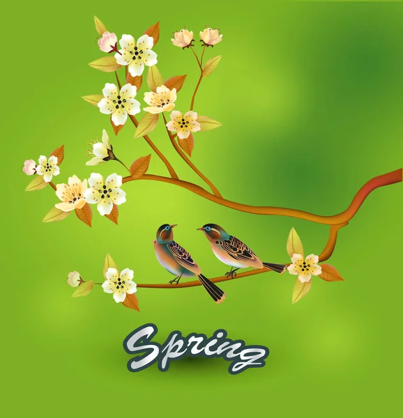 Jaro Vše Probudí Květiny Kvetoucí Sakura Pohlednice — Stockový vektor