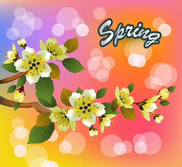 Wiosna Ilustracji Wektora Wszystko Budzi Się Kwiaty Sakura Kwiata Pocztówka — Wektor stockowy