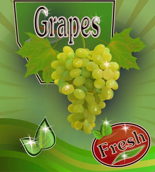 Ilustración Vectorial Bebidas Publicitarias Uvas Jugo Uvas Frescas Banner — Archivo Imágenes Vectoriales