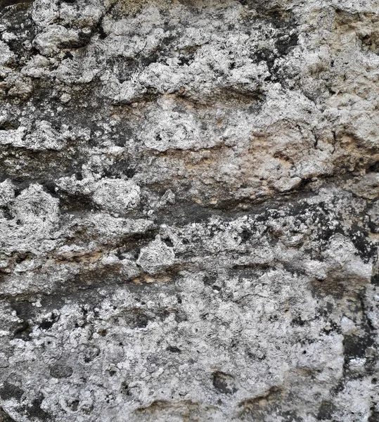 Background Stone Texture Gray Brown — Stock Photo, Image